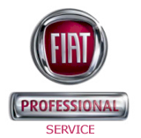 Fiat Professional Industriegarage AG